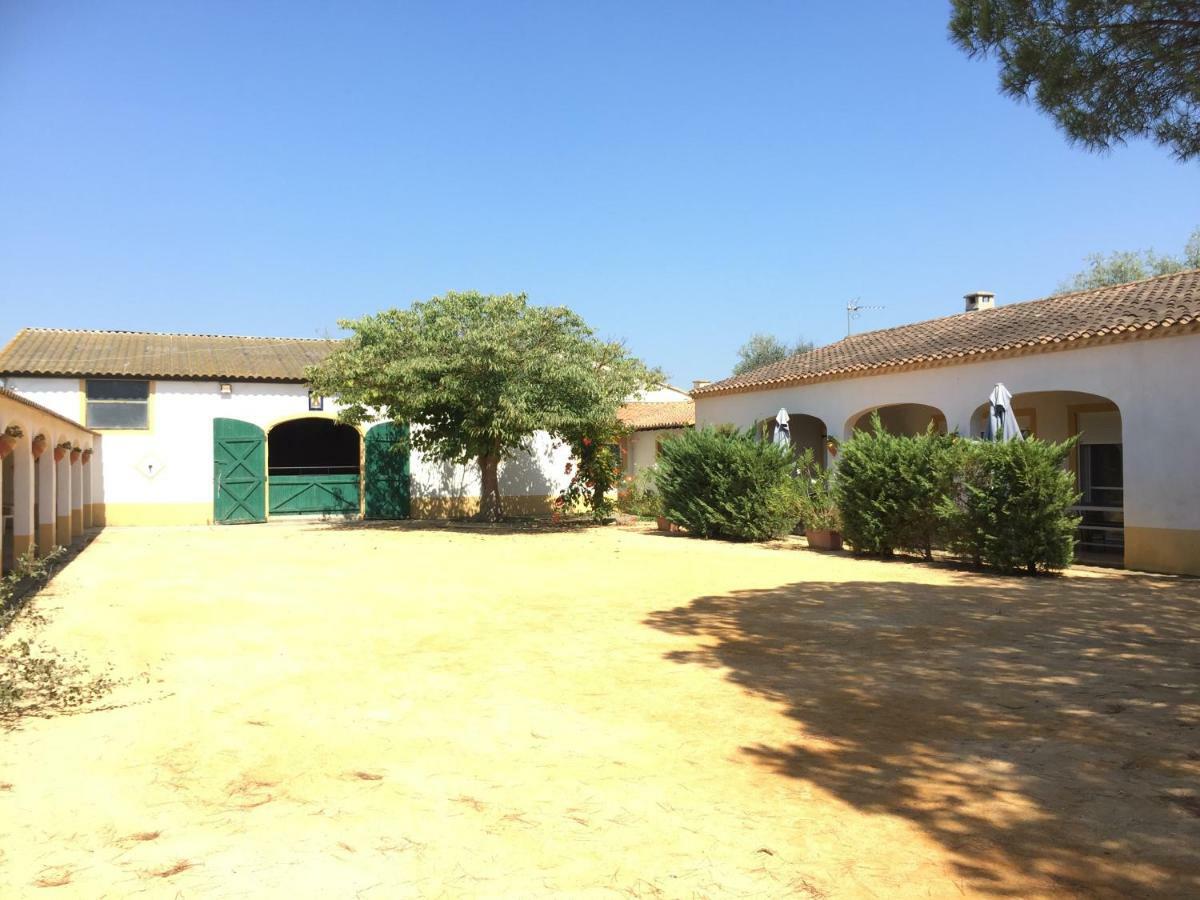 El Rocio 1 Gites Equestre Сент-Марі-де-ла-Мер Екстер'єр фото